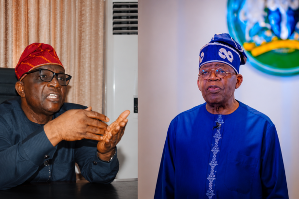 Don’t Vote Me Again If I Fail - Tinubu