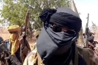 Troops Repel ISWAP Attacks, Kill Two Fighters In Maiduguri