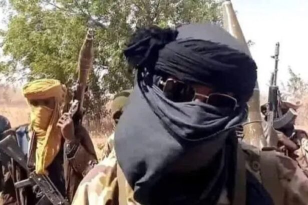 Troops Repel ISWAP Attacks, Kill Two Fighters In Maiduguri