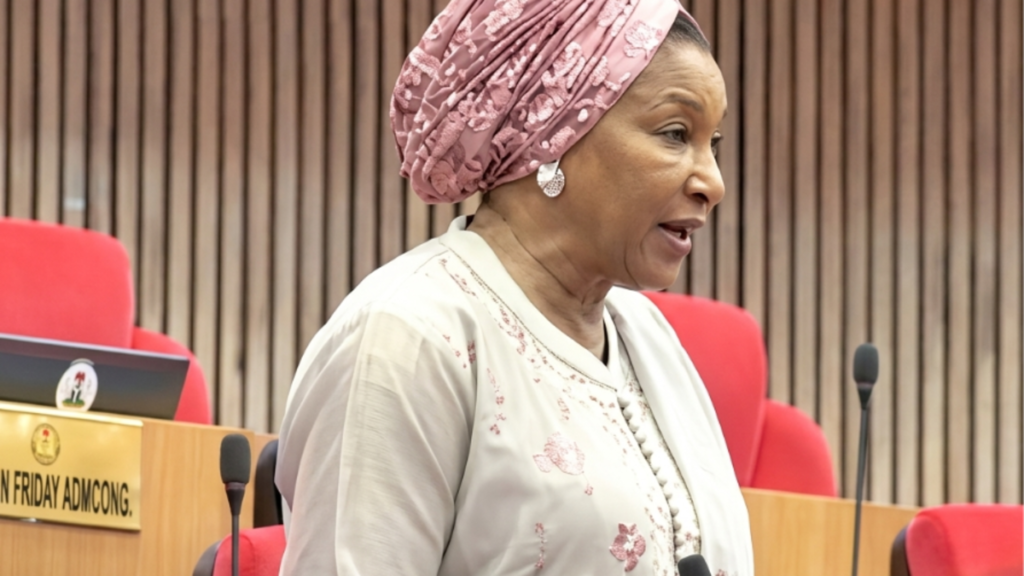 Senator Ireti Kingibe Confirms She Never Signed Natasha Suspension Report 2 Adobe Express file cropped