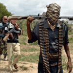 Bandits Kill Community Guard, Abduct Several Residents in Sokoto