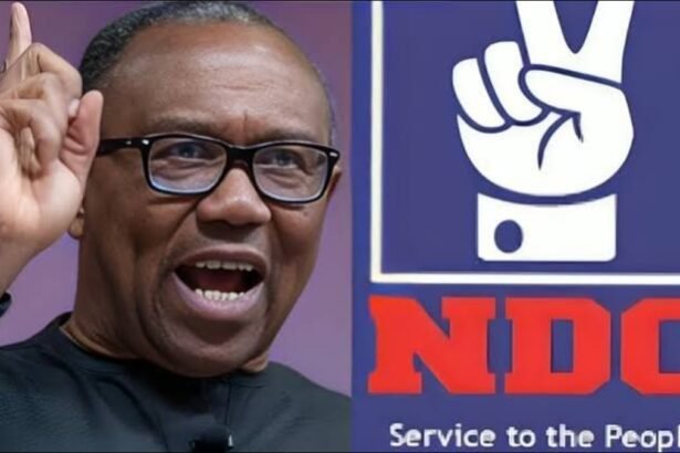 BREAKING: Peter Obi Beats Court Threat as NDC Uploads His Name on INEC Portal