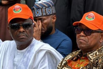 Obi,  Kwankwaso  Plans to Dump NDC