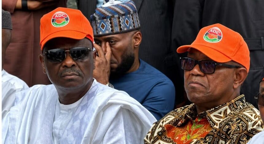 Buhari’s Ex-aide: Obi, Kwankwaso Plans to Dump NDC Soon 2 Obi, Kwankwaso Plans to Dump NDC