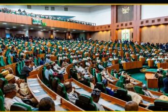 Nigerian Reps Approve State Police Bill After Years of Debate