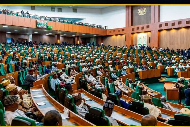 Nigerian Reps Approve State Police Bill After Years of Debate