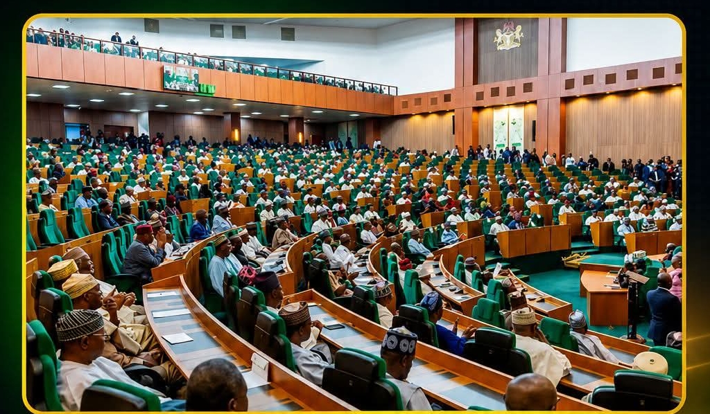 Nigerian Reps Approve State Police Bill After Years of Debate  