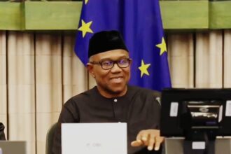 Peter Obi European Parliament