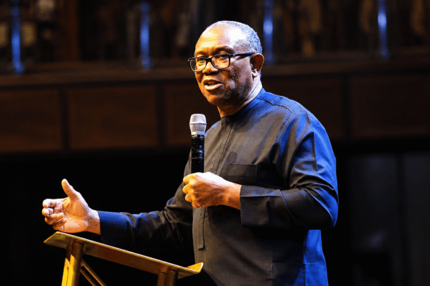 Peter Obi's 'Stop Sending Money Home' Advice Splits Nigerians