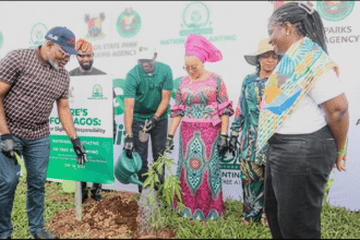 Sanwo-Olu Targets 20,000 Trees as Lagos Launches 2026 Planting Drive