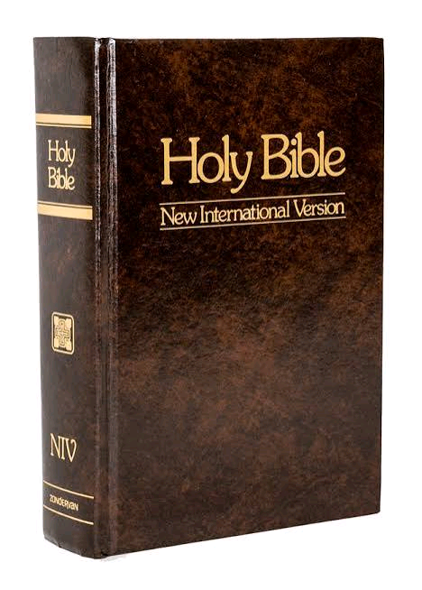 The holy Bible (NIV)