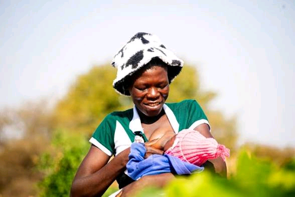 Plateau Launches World Breastfeeding Week 2026, Urges Families And Employers To Protect Child Nutrition. 2 A nursing mother