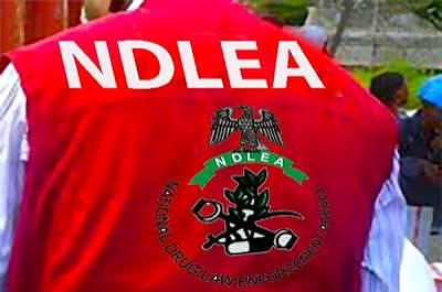 NDLEA Cocaine Seizure: Drugs Hidden in Lipsticks, Property Documents. 6 NDLEA