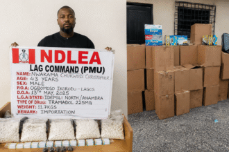Breaking: NDLEA Arrests Drug Smuggler Who Swallowed 98 Cocaine Wraps