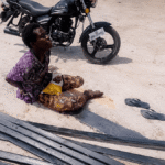 Coastal Highway Guards Arrests First Vandals