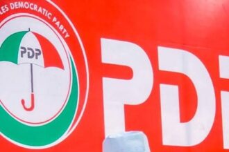 PDP LOGO e1725963849796