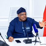 Improved Electricity Supply: Nigerians Are Begging Me to Slow Down — Power Minister
