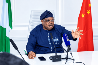 Improved Electricity Supply: Nigerians Are Begging Me to Slow Down — Power Minister