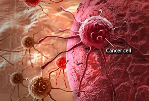 ₦302.3bn National Cancer Institute: Tinubu Approves Major Healthcare Project 3 ₦302.3bn National Cancer Institute: Tinubu Approves Major Healthcare Project