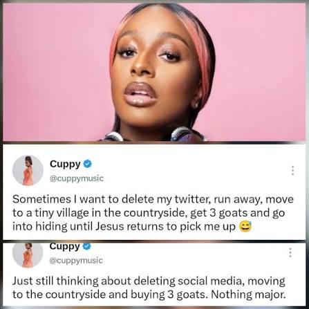 DJ Cuppy: I May Delete Social Media and Buy Three Goats 4 DJ Cuppy: I May Delete Social Media and Buy Three Goats