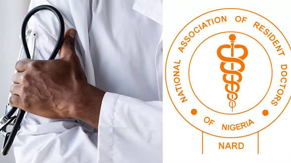 NARD Gives FG 14 Days to Act or Face Nationwide Doctor Strike