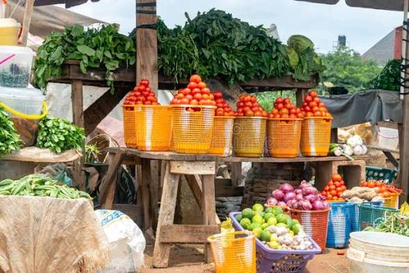 Tinubu Blames Opposition for Hunger and Poverty in Nigeria 5 Tinubu Blames Opposition for Hunger and Poverty in Nigeria
