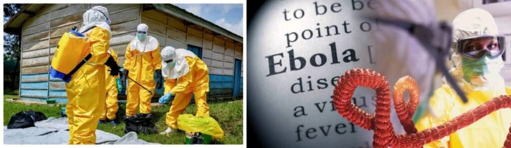Sowore: Gbajabiamila Unfit to Lead Ebola Task Force 4 Sowore: Gbajabiamila Unfit to Lead Ebola Task Force
