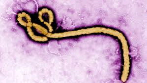 Nigeria Confirms Ebola Case in Abuja, Tracks 44 Contacts
