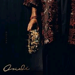 Davido Submits Oriade and 4 Songs for Consideration at 2027 Grammys 2 Davido Submits Oriade and 4 Songs for Consideration at 2027 Grammys