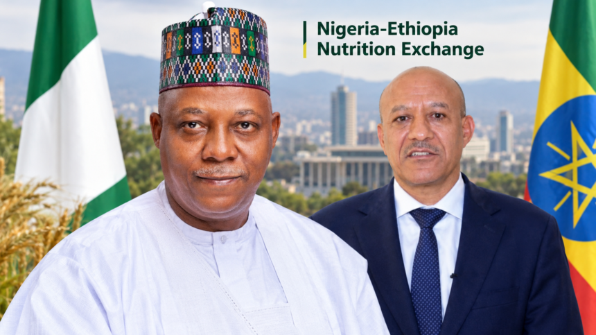 Shettima Leads Nigeria Delegation To Ethiopia On Nutrition