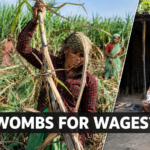 Why India's £3-a-Day Women Sugarcane Workers Remove Wombs
