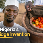 Meet the Nigerian Who Built a Fridge Without Electricity