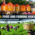 El Niño: How Global Weather Changes Could Affect Food Prices in Nigeria
