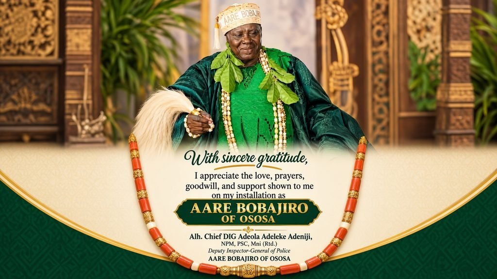  CHIEF DIG ADEOLA ADELEKE ADENIJI (RTD)
