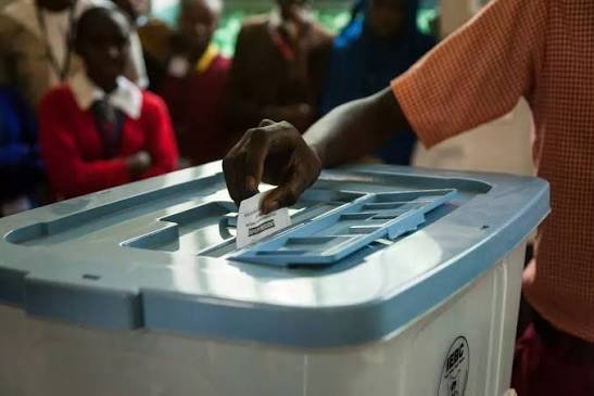 INEC Faces Questions Over AI Images in Voters’ Register