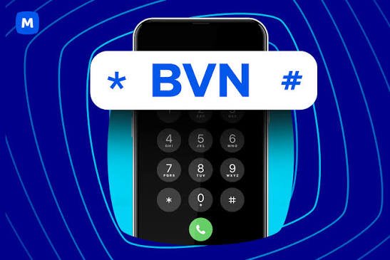 Nigeria’s BVN Enrolment Hits 70.5 Million Amid Security Concerns 6 Nigeria’s BVN Enrolment Hits 70.5 Million Amid Security Concerns