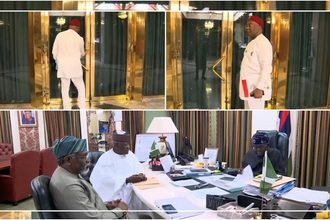 Meeting With Tinubu: Truth Behind Viral Video of Uzodinma Being Locked Out