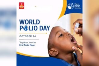 World Polio Day 2026: Nigeria Records 50 Polio Cases